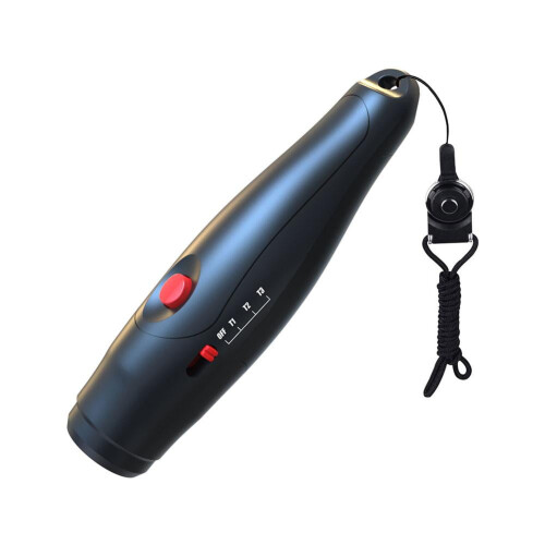 Electronic whistle with lanyard