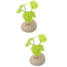 2Pièces Accessoires Intérieur Pot