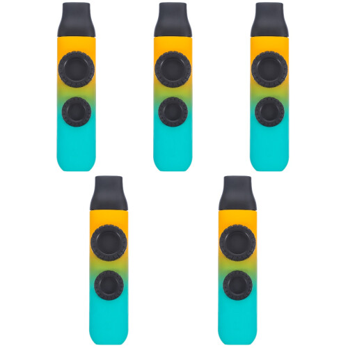 5Ensembles Kazoo Instrument Portable Idéal Pour Débutants