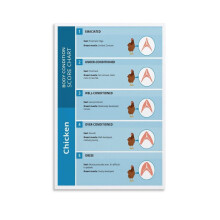 Animal Body Condition Poster,chicken Body Condition Score Chart Canvas Painting Wall Art