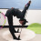 Heim Pilates Trainingsgerät Set 12