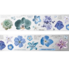 Aesthetic Reusable PET Art Sticker, Easy to Tear Without Residues, for Scrapbook