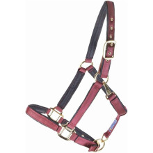 Dura-Tech Deluxe vadderad grimma för häst, 2,5 cm dubbelskiktad nylon, kraftiga detaljer, halvanpassad passform, 3-punkts kindfäste
