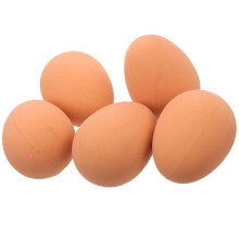 Conjunto de 5 bolas interativas de borracha bege em formato de ovo para filhotes de pequeno porte.