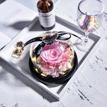 Pink Preserved Roses in Glass Dome – Gifts for Her, Compatible with Anniversary, Birthday, Valentine's, Mother's Day, Christmas
