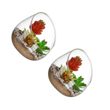 2Pièces Terrarium Globe Transparent Vase Décoration Intérieure