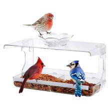 Mangeoire transparente à fixer à la fenêtre avec ventouse puissante, station d'alimentation pour l'observation des oiseaux, installation facile