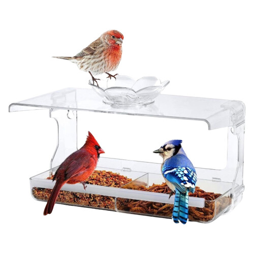 Mangeoire à oiseaux transparente à ventouse, fixée à la fenêtre