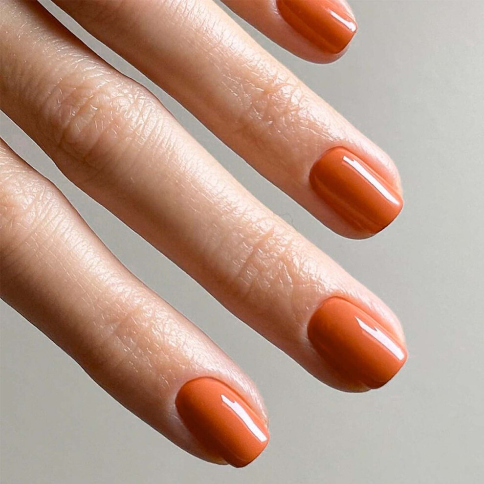 Press on Nails Sale Press- Short Nails Press- Short False Nails with Nail Glue Reusable Glue- Nails 12 Sizes 2ml