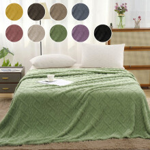 Twin Size Reversible Velvet & Flannel Throw Blanket, 60x40", Green – Compatible with Home, Office, Picnic, Travel, Bedroom