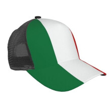 Gorra de béisbol profesional para cuidadores de mascotas para hombres y mujeres, de algodón lavado, estilo golf, gorra de papá, ajustable y de
