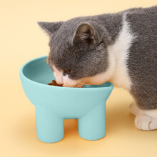 1 Pcs Upgraded Elevated Cat Bowls with Food Mat, Stand Anti Vomiting Raised Cat Dishes for Food and Water, Bowls for Cats and Puppy