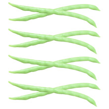 24 Pcs Simulation Bean Models Vegetable Props