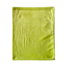 Polyester Blankets Green Fuzzy and Cozy Modern for Couch, Bed, Living Room Solid Reversible 19x27 Inches