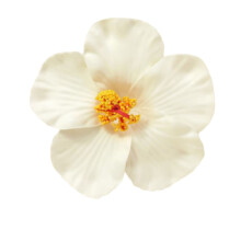 Elegante Haarspange mit Blumenmotiv für Damen, 1 Stück