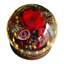 Forever Fresh Preserved Flowers in Glass Dome – Eternal Roses Gifts for Mom, Grandma, Sister, Daughter, Wife, Girlfriend – Compatible with All