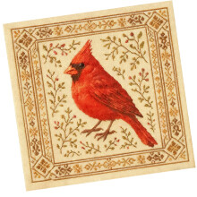 Bird Embroidery Stitching Set For Home Craft Cloth Materials Family Friendly Art Project Supplies