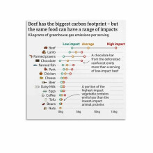 Food Carbon Footprint Kitchen And Restaurant Poster (1) Canvas for Bedroom Living Room Decor