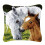 DIY Pillowcase Latch Hook Rug Kit Horse Pattern for Beginners Adults 43x43cm 1