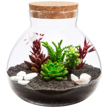 Bottle for Landscaping and Storage - Home Use Ecological Container