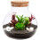 Bottle for Landscaping and Storage - Home Use Ecological Container 1