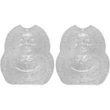2Pcs Transparent Fruit Mold Fruit Shaping Mold Buddha Shaped Melon Growing Mold Vegetable Growing Mould Growth Forming
