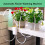 Automatic Flower Watering Machine Pump Controller Flowers Plants Home 8  Sprinkler Drip Irrigation Device Pump Timer 8
