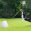 Dog Automatic  Launcher for Small or Medium Dogs, Interactive Dog  Throwing Machine,3 Balls Included.US Plug 8