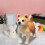 Peluche chiot 25 cm avec ruban rouge 6