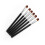 Foundation Cosmetic Eyebrow Eyeshadow Brush Makeup Brush Sets tools 5Pcs 1