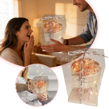 Valentine's Day Preserved Rose Bouquet with LED Lights in Clear Box – Small Gift for Her Under $25, Compatible with Romance