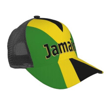 Professional Pet Sitter Cap for Men Women Washed Cotton Golf Dad Hat Adjustable Low Profile Baseball Cap