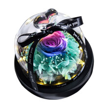 DIY Pink Rose Heart Glass Dome Ornament with LED Light – Preserved Real Rose Gift for Mom, Grandma, Wife – Compatible with All Occasions