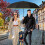 Golf Umbrella Extra Large 62 Inch Auto Windproof 8
