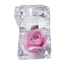 Rose éternelle, fleur préservée, cadeau romantique pour la Saint-Valentin, un anniversaire ou toute autre occasion spéciale, présentée dans un