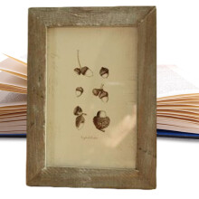 Cadre photo style ferme vintage 3x5 pouces, aspect vieilli