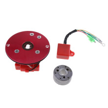 Kit rotore statore magnete Red Racing con centralina CDI compatibile con ATV Lifan e moto da cross 110 e 140