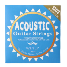 Acoustic Guitar Strings Phosphor Bronze Strings Guitar Accessories Sport Supplies (WA12)