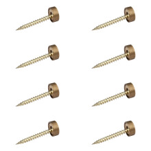 Practical Brass Glass Screw Fasteners With Decorative Domes Caps Rustproof Hardware for Home Furnishing Projects