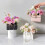 Presentask med blompapper och metallkedja, 1-pack 1