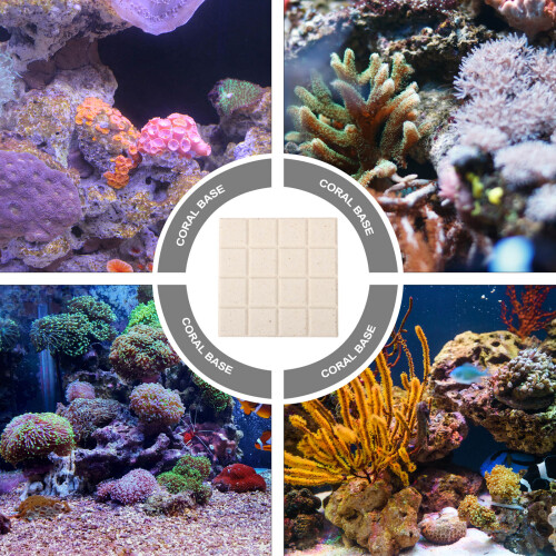 10Pièces Bases Corail En Céramique Pour 2