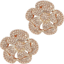 2PCS Crystal Shoe Clips 1.7x1.6", Light Gold Rhinestone Flower Buckles for Women's Pumps, Flats, Hats, Scarves – DIY Jewelry, with Box, Compatible