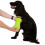 Trespaws Dual Paw Cleaner Silicone Brush Mucky 1