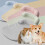 Multi Functional Pet Cool Pad Bed Machine Washable Design For Dogs Cats Multiple Sizes Foldable Travel Friendly 2