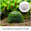 Aquatic Plantenpot Moss Bal Minerale Bollen Kweekcontainer Aquarium 10