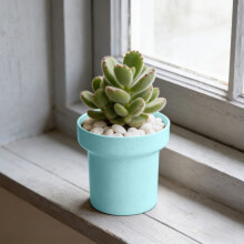 4.7 Inch Plastic Flower Pots with Drainage