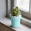 4.7 Inch Plastic Flower Pots with Drainage 1