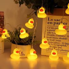 Cute Duck String Lights – Battery Powered, No Plug, Compatible with Easter, Weddings, Graduation, New Year & Party Decor