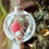 Clear Plastic Snowball Ornament for Holiday Sewing 1