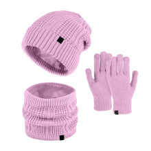 Women's Winter Hat Scarf Gloves Set, Solid Color Knit Beanie, Fleece Lined Neck Warmer, Matching 3-Piece Set, Cold Weather Gift Purple